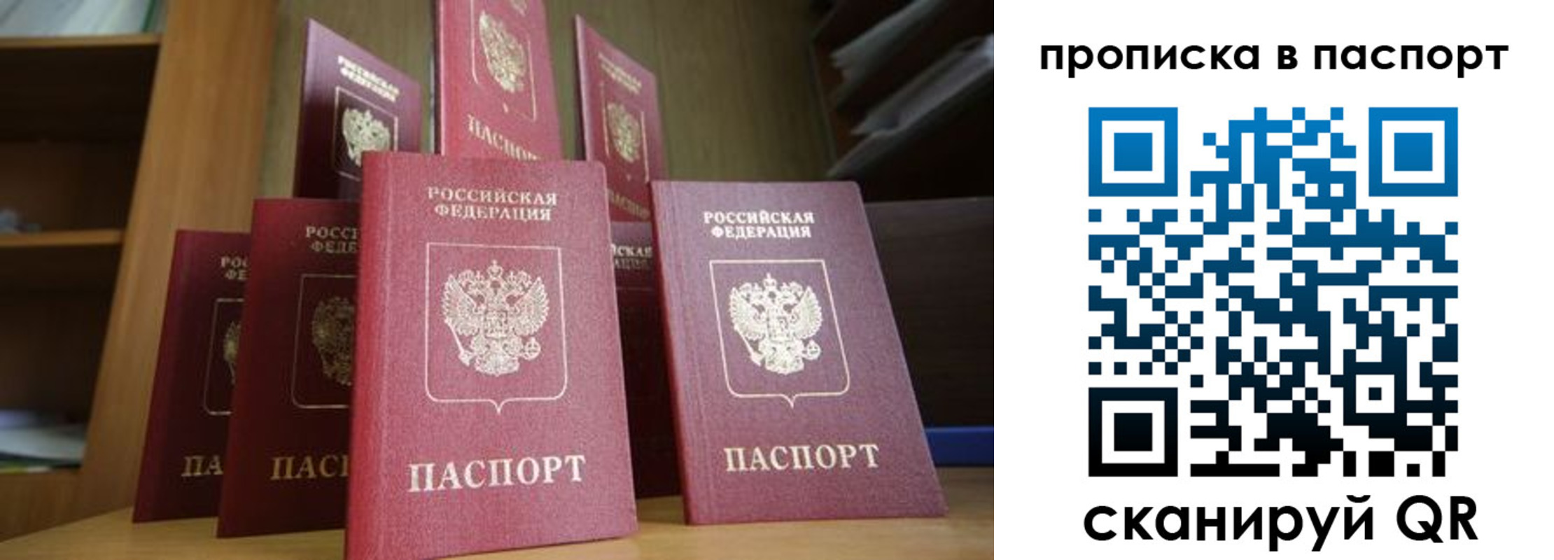 прописка законно в Ногинске
